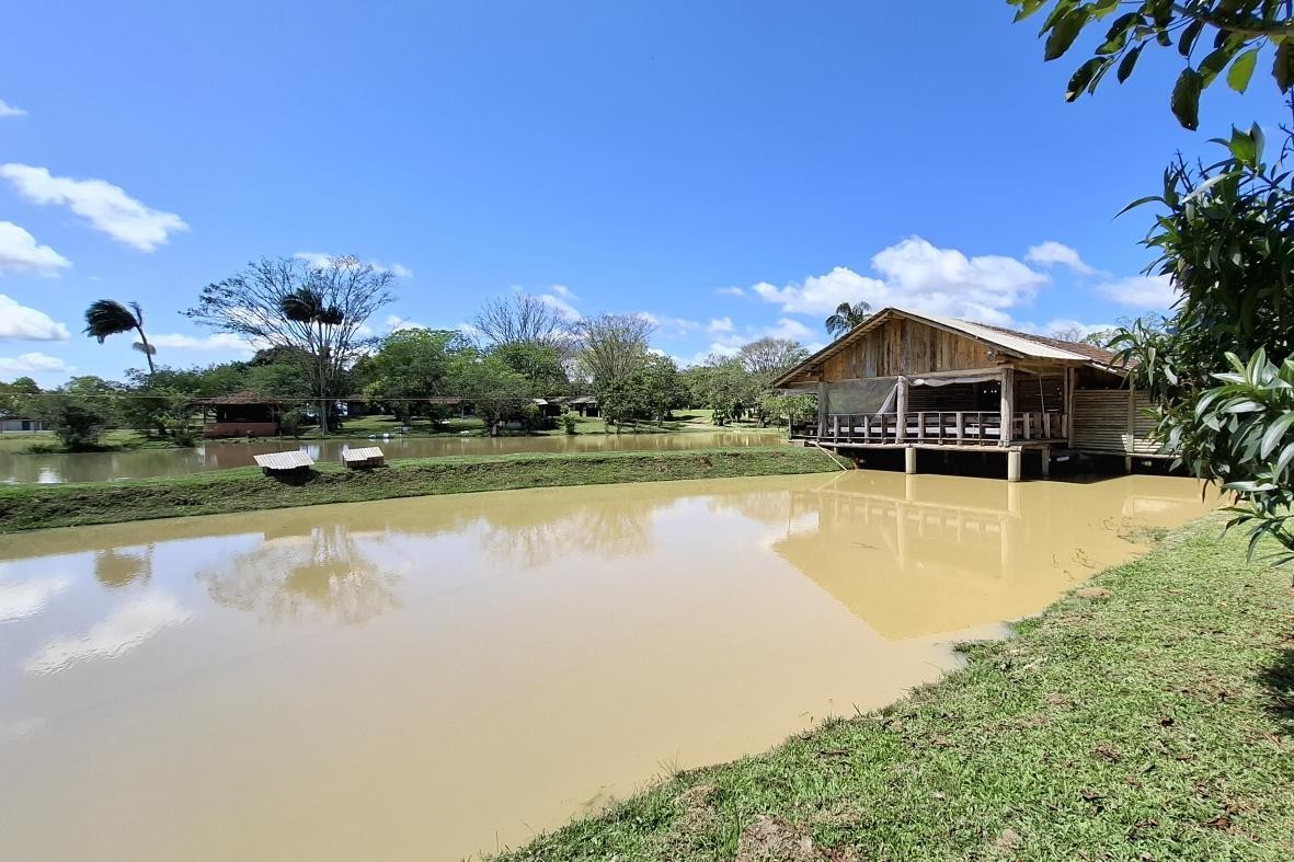 Fazenda, 85 hectares - Foto 16