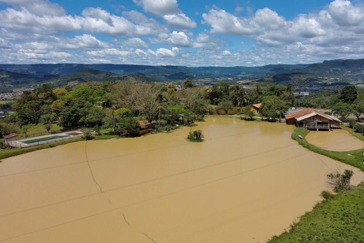 Fazenda, 85 hectares - Foto 6