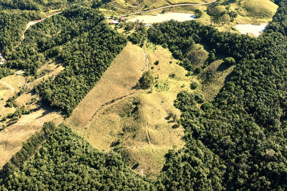Fazenda, 85 hectares - Foto 38
