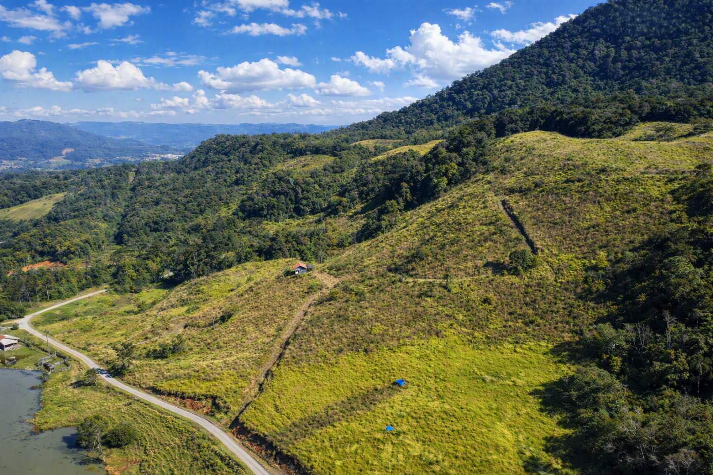 Fazenda, 85 hectares - Foto 43