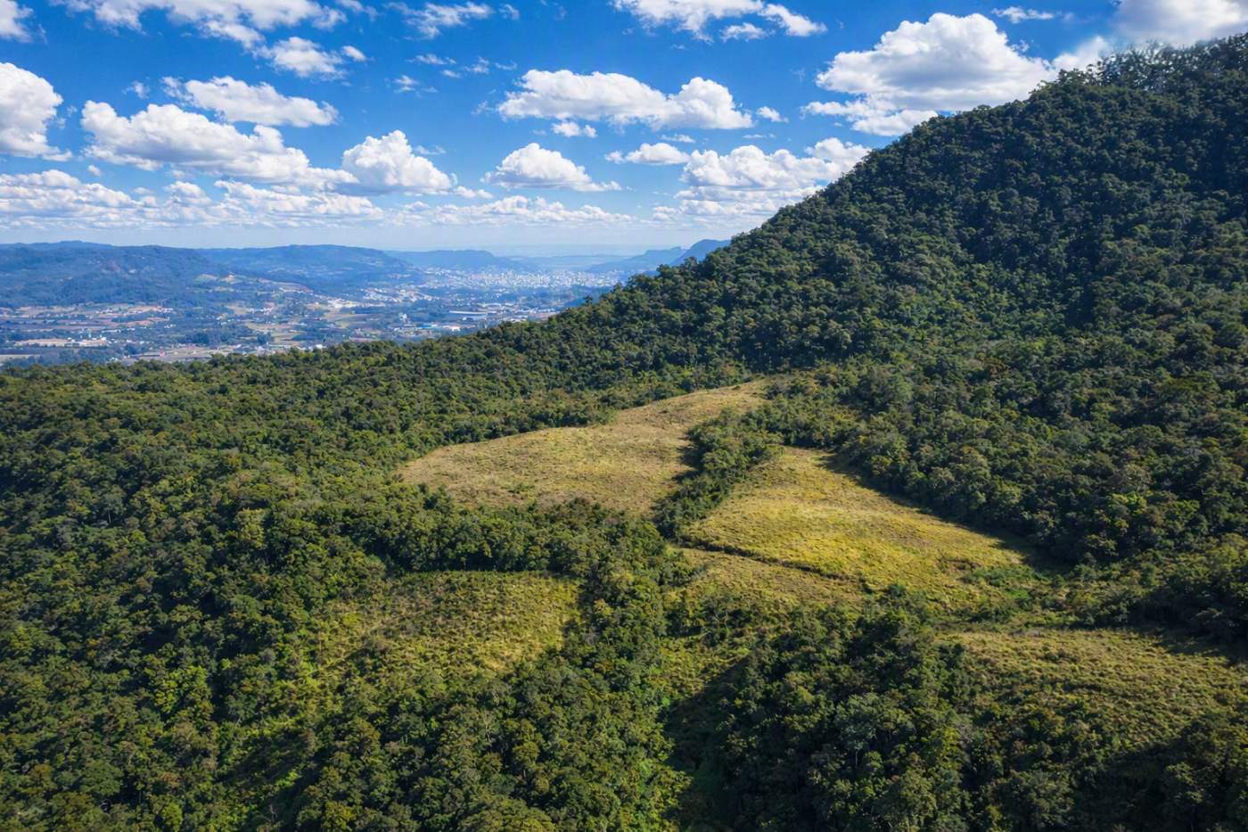 Fazenda, 85 hectares - Foto 44
