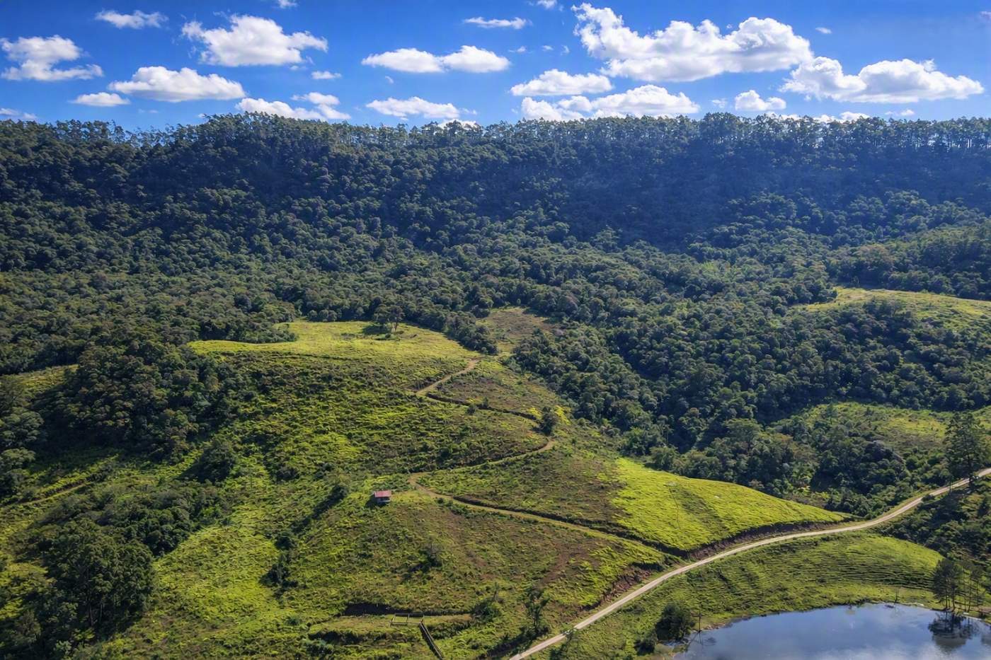 Fazenda, 85 hectares - Foto 46