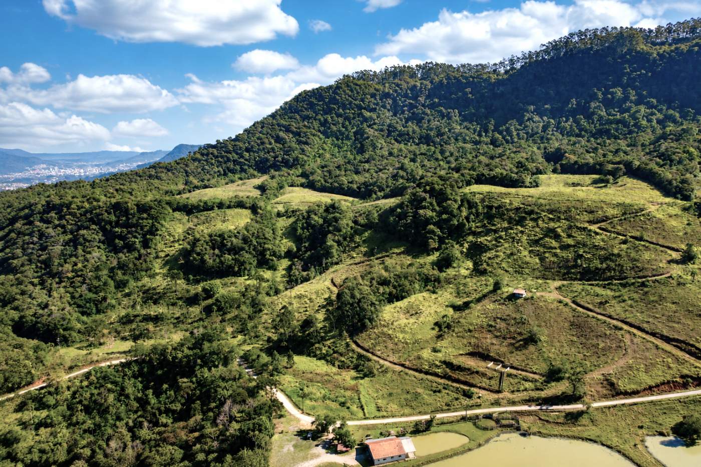 Fazenda, 85 hectares - Foto 49